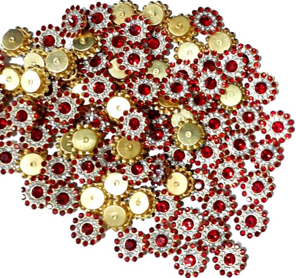 Stone Flower for Embroidery, Clothes, Blouse, Saree, Dress Decoration (Pack of Approx 250 Pcs/125 GMS) (Red)